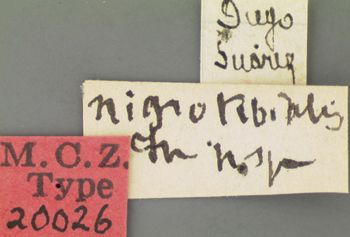 Media type: image; Entomology 20026   Aspect: labels